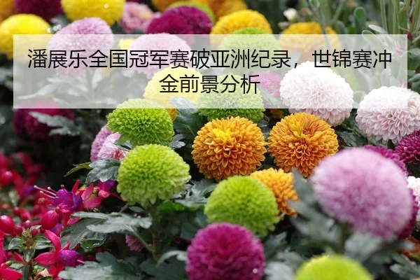 潘展乐全国冠军赛破亚洲纪录，世锦赛冲金前景分析