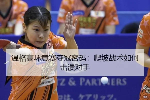 wen-ge-gao-huan-yi-sai-duo-guan-mi-ma-pa-po-zhan-shu-ru-he-ji-kui-dui-shou-2-804.jpg