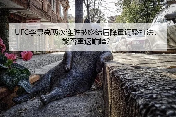 li-jing-liang-liang-ci-lian-sheng-bei-zhong-jie-hou-jiang-zhong-tiao-zheng-da-fa-neng-fou-chong-fan-dian-feng-3-157.jpg