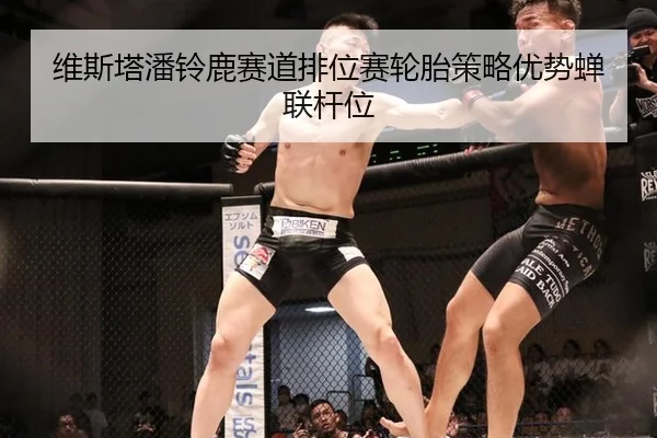 维斯塔潘铃鹿赛道排位赛轮胎策略优势蝉联杆位