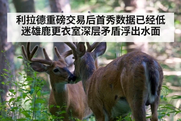 利拉德重磅交易后首秀数据已经低迷雄鹿更衣室深层矛盾浮出水面