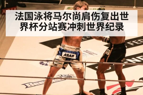 法国泳将马尔尚肩伤复出世界杯分站赛冲刺世界纪录