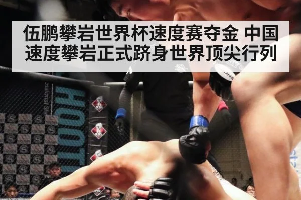 伍鹏攀岩世界杯速度赛夺金 中国速度攀岩正式跻身世界顶尖行列